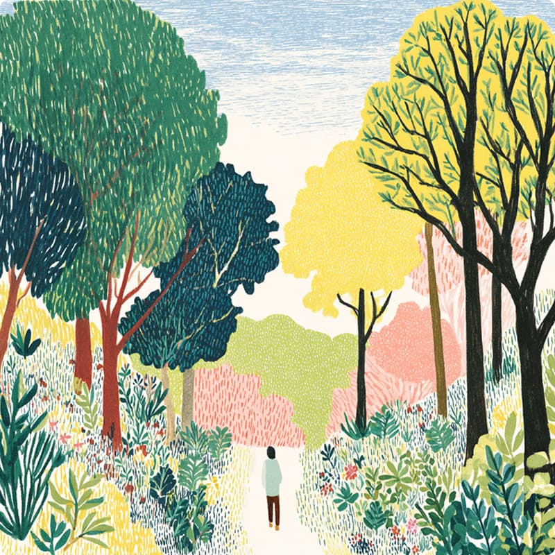 A lush grove of trees in a deciduous forest